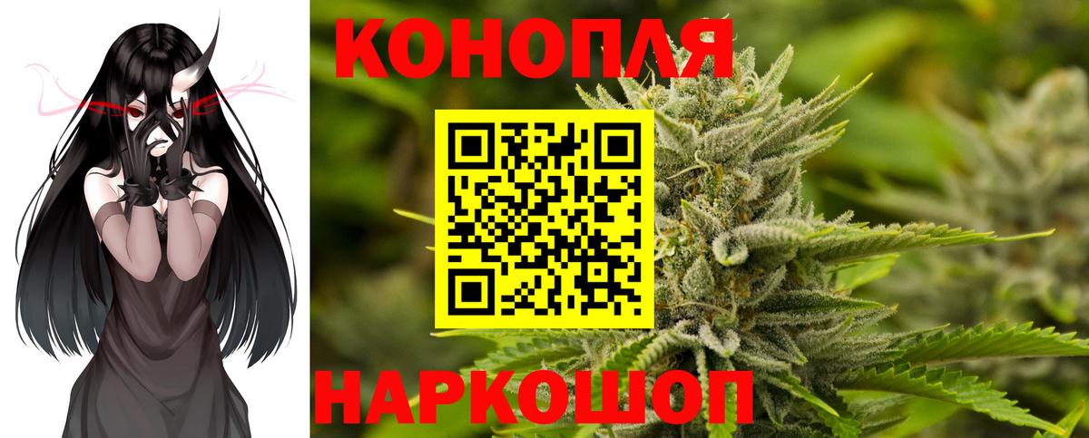 МАРИХУАНА сатива Моздок